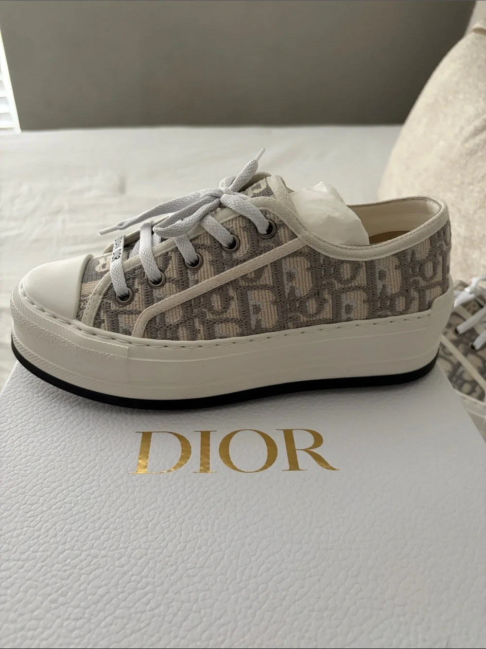 Walk’n’Dior platform sneakers Stone Gray Oblique Embroidered cotton